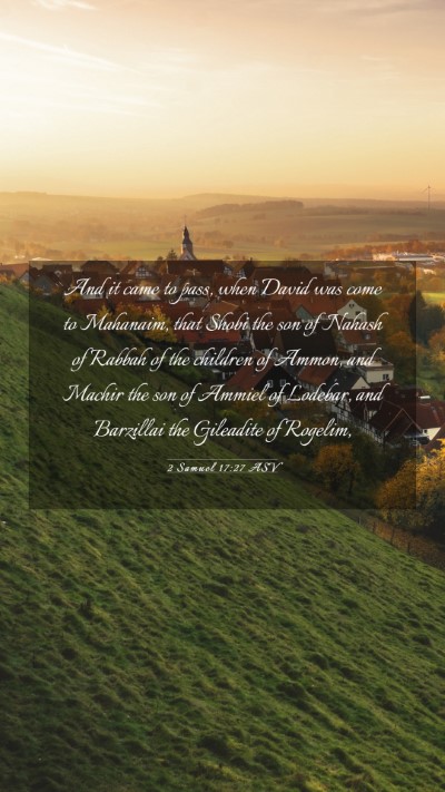 Picture 03 - 2 Samuel 17:27 ASV Mobile Phone Wallpaper - And it came to pass, when David was come to - Mobile Bible Verse Wallpaper