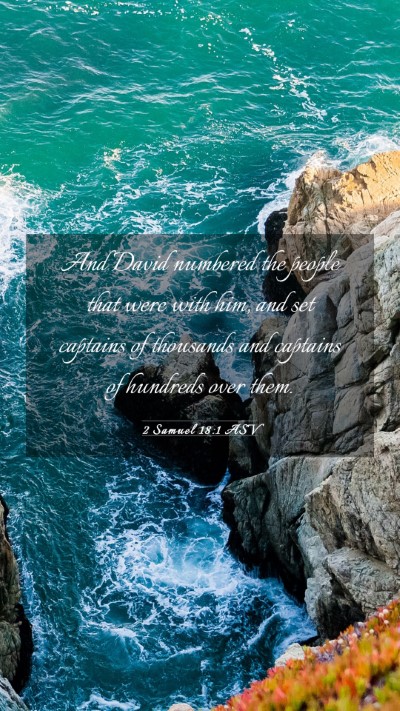Picture 03 - 2 Samuel 18:1 ASV Mobile Phone Wallpaper - And David numbered the people that were with him, - Mobile Bible Verse Wallpaper