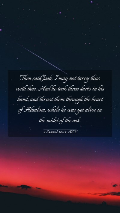 Picture 03 - 2 Samuel 18:14 ASV Mobile Phone Wallpaper - Then said Joab, I may not tarry thus with thee. - Mobile Bible Verse Wallpaper