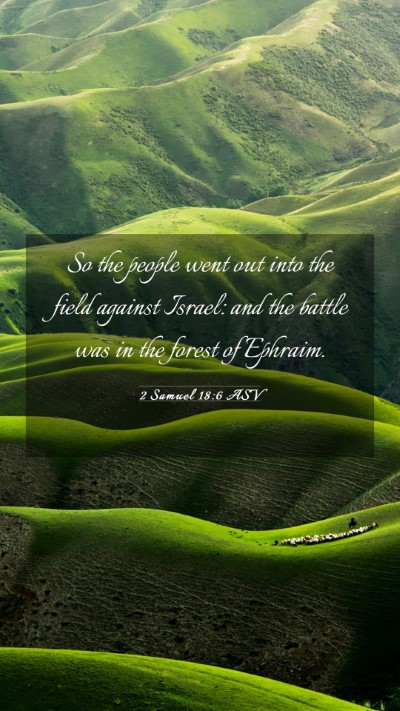 Picture 03 - 2 Samuel 18:6 ASV Mobile Phone Wallpaper - So the people went out into the field against - Mobile Bible Verse Wallpaper