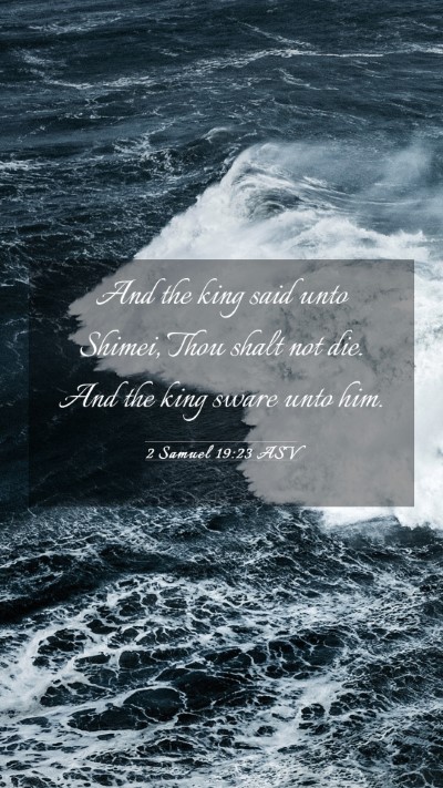 Picture 03 - 2 Samuel 19:23 ASV Mobile Phone Wallpaper - And the king said unto Shimei, Thou shalt not - Mobile Bible Verse Wallpaper