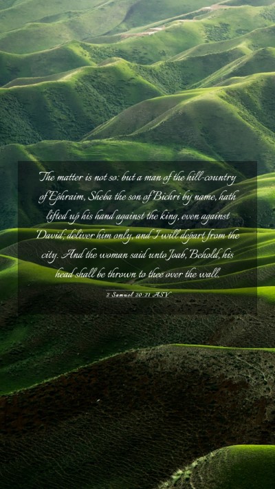 Picture 03 - 2 Samuel 20:21 ASV Mobile Phone Wallpaper - The matter is not so: but a man of the - Mobile Bible Verse Wallpaper