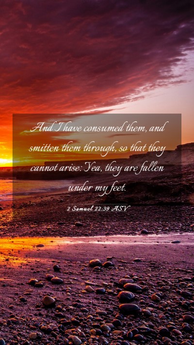 Picture 03 - 2 Samuel 22:39 ASV Mobile Phone Wallpaper - And I have consumed them, and smitten them - Mobile Bible Verse Wallpaper