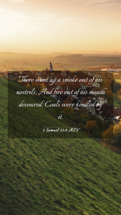 Picture 03 - 2 Samuel 22:9 ASV Mobile Phone Wallpaper - There went up a smoke out of his nostrils, And - Mobile Bible Verse Wallpaper