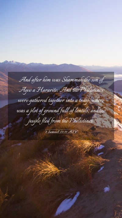 Picture 03 - 2 Samuel 23:11 ASV Mobile Phone Wallpaper - And after him was Shammah the son of Agee a - Mobile Bible Verse Wallpaper