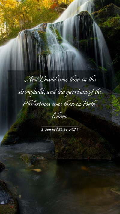 Picture 03 - 2 Samuel 23:14 ASV Mobile Phone Wallpaper - And David was then in the stronghold; and the - Mobile Bible Verse Wallpaper