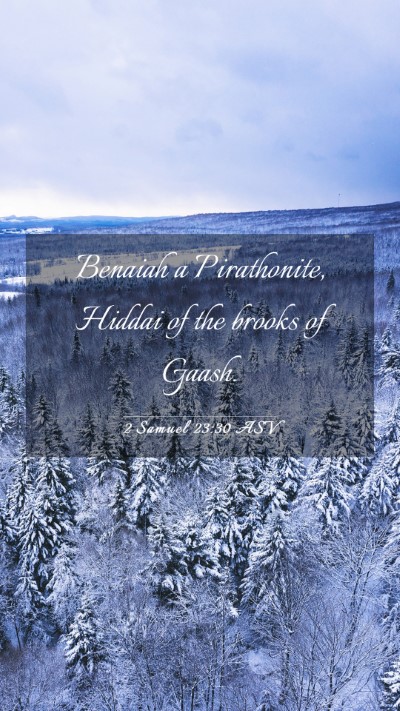 Picture 03 - 2 Samuel 23:30 ASV Mobile Phone Wallpaper - Benaiah a Pirathonite, Hiddai of the brooks of - Mobile Bible Verse Wallpaper