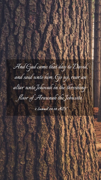Picture 03 - 2 Samuel 24:18 ASV Mobile Phone Wallpaper - And Gad came that day to David, and said unto - Mobile Bible Verse Wallpaper