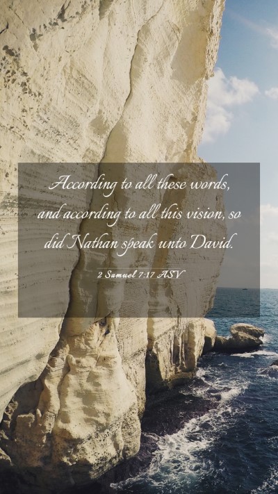 Picture 03 - 2 Samuel 7:17 ASV Mobile Phone Wallpaper - According to all these words, and according to - Mobile Bible Verse Wallpaper