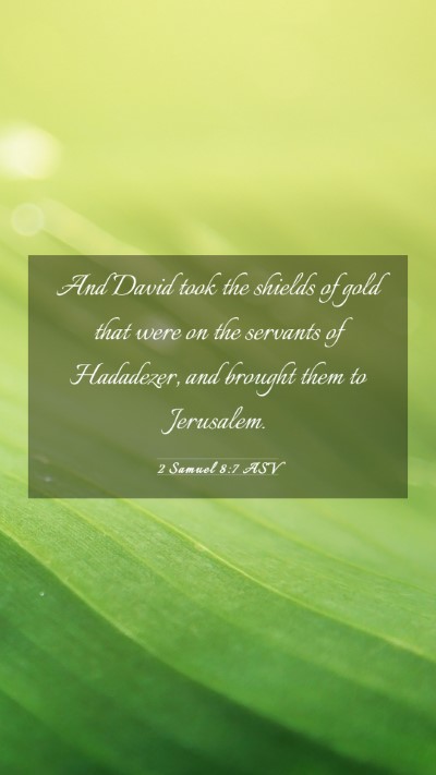 Picture 03 - 2 Samuel 8:7 ASV Mobile Phone Wallpaper - And David took the shields of gold that were on - Mobile Bible Verse Wallpaper