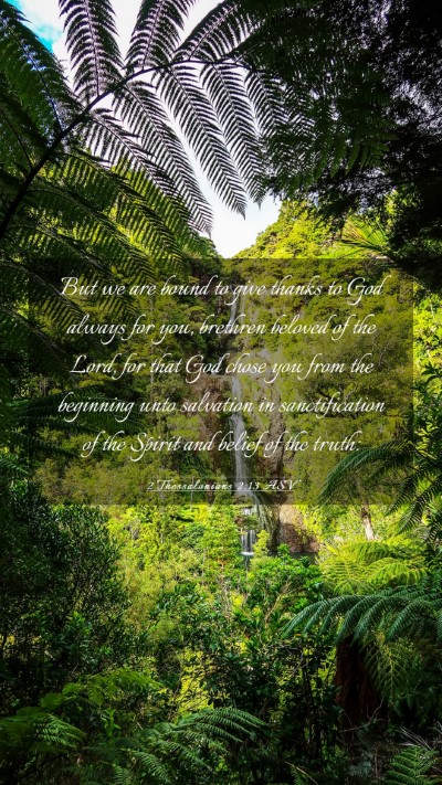 Picture 03 - 2 Thessalonians 2:13 ASV Mobile Phone Wallpaper - But we are bound to give thanks to God always for - Mobile Bible Verse Wallpaper