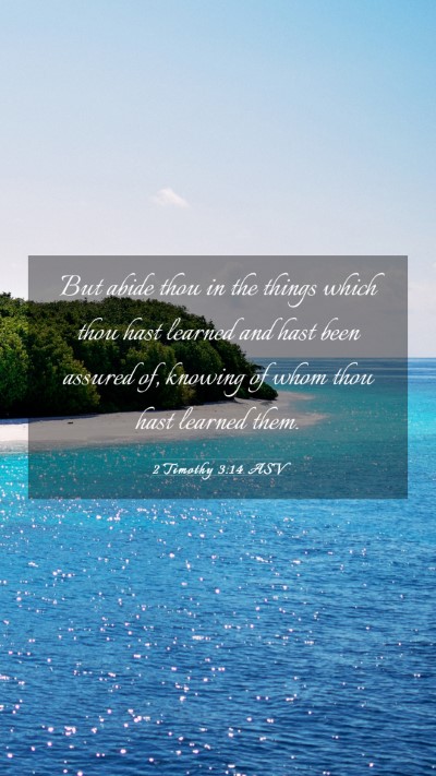 Picture 03 - 2 Timothy 3:14 ASV Mobile Phone Wallpaper - But abide thou in the things which thou hast - Mobile Bible Verse Wallpaper