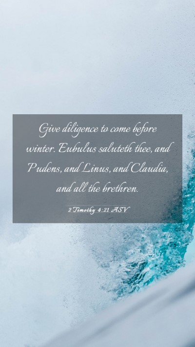 Picture 03 - 2 Timothy 4:21 ASV Mobile Phone Wallpaper - Give diligence to come before winter. Eubulus - Mobile Bible Verse Wallpaper