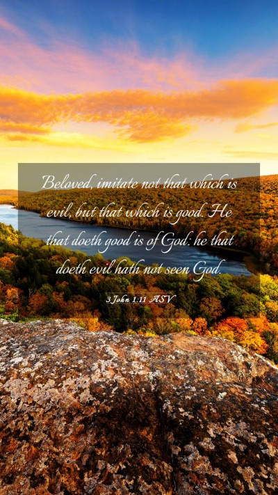 Picture 03 - 3 John 1:11 ASV Mobile Phone Wallpaper - Beloved, imitate not that which is evil, but that - Mobile Bible Verse Wallpaper