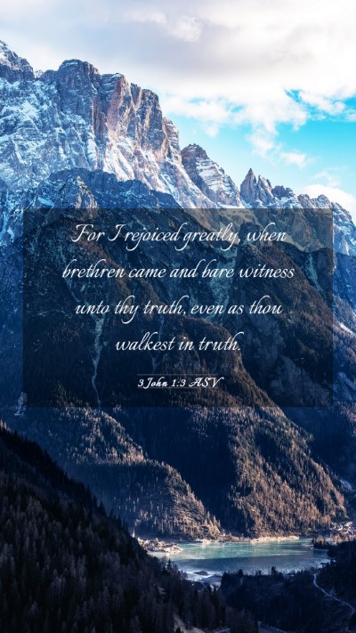 Picture 03 - 3 John 1:3 ASV Mobile Phone Wallpaper - For I rejoiced greatly, when brethren came and - Mobile Bible Verse Wallpaper