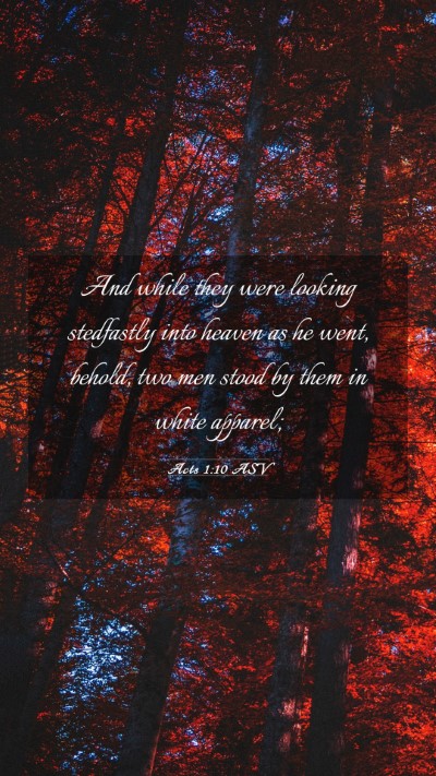 Picture 03 - Acts 1:10 ASV Mobile Phone Wallpaper - And while they were looking stedfastly into - Mobile Bible Verse Wallpaper