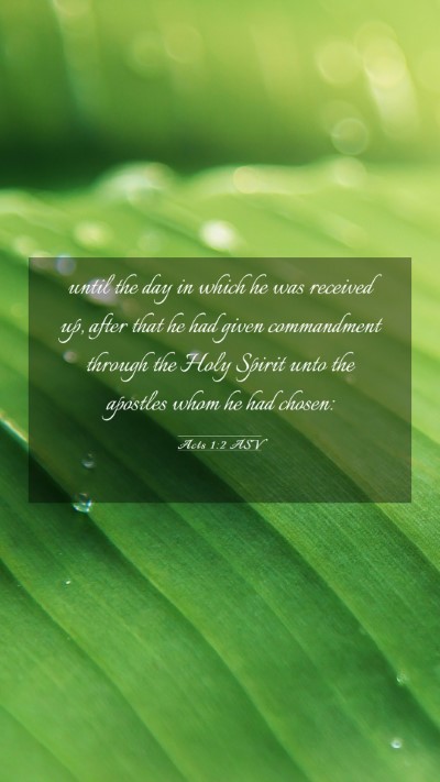 Picture 03 - Acts 1:2 ASV Mobile Phone Wallpaper - until the day in which he was received up, after - Mobile Bible Verse Wallpaper