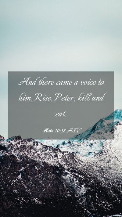 Picture 03 - Acts 10:13 ASV Mobile Phone Wallpaper - And there came a voice to him, Rise, Peter; kill - Mobile Bible Verse Wallpaper