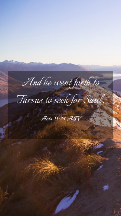 Picture 03 - Acts 11:25 ASV Mobile Phone Wallpaper - And he went forth to Tarsus to seek for - Mobile Bible Verse Wallpaper