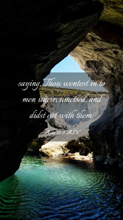 Picture 03 - Acts 11:3 ASV Mobile Phone Wallpaper - saying, Thou wentest in to men uncircumcised, and - Mobile Bible Verse Wallpaper