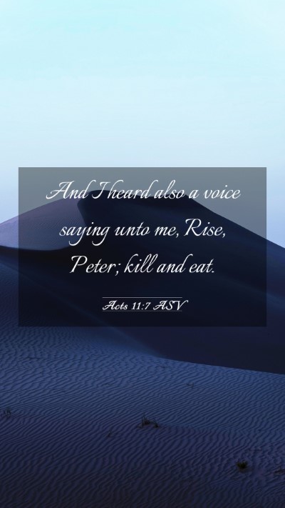 Picture 03 - Acts 11:7 ASV Mobile Phone Wallpaper - And I heard also a voice saying unto me, Rise, - Mobile Bible Verse Wallpaper
