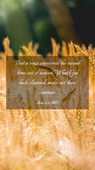 Picture 03 - Acts 11:9 ASV Mobile Phone Wallpaper - But a voice answered the second time out of - Mobile Bible Verse Wallpaper