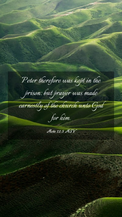 Picture 03 - Acts 12:5 ASV Mobile Phone Wallpaper - Peter therefore was kept in the prison: but - Mobile Bible Verse Wallpaper