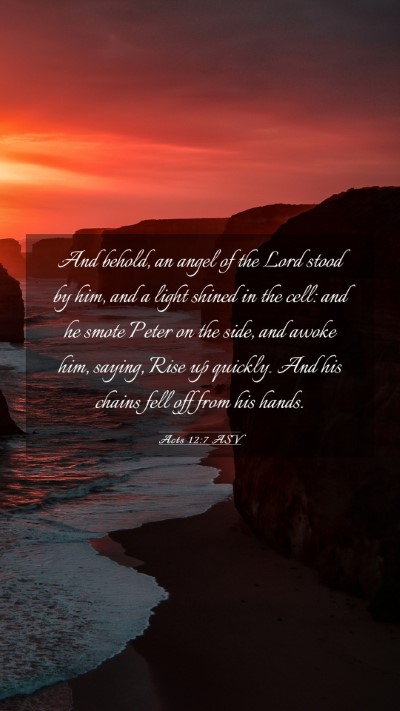 Picture 03 - Acts 12:7 ASV Mobile Phone Wallpaper - And behold, an angel of the Lord stood by him, - Mobile Bible Verse Wallpaper