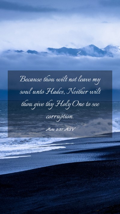 Picture 03 - Acts 2:27 ASV Mobile Phone Wallpaper - Because thou wilt not leave my soul unto Hades, - Mobile Bible Verse Wallpaper