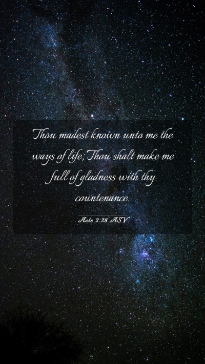 Picture 03 - Acts 2:28 ASV Mobile Phone Wallpaper - Thou madest known unto me the ways of life; Thou - Mobile Bible Verse Wallpaper