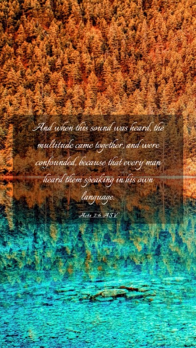 Picture 03 - Acts 2:6 ASV Mobile Phone Wallpaper - And when this sound was heard, the multitude came - Mobile Bible Verse Wallpaper