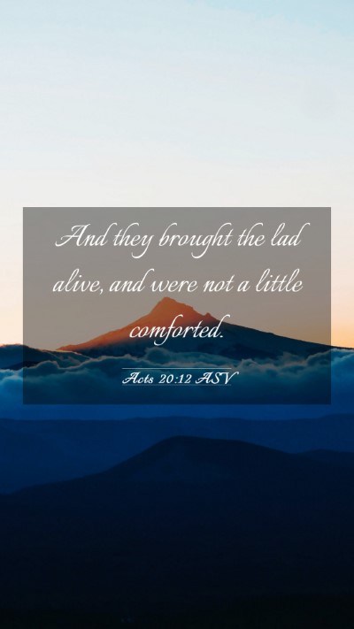 Picture 03 - Acts 20:12 ASV Mobile Phone Wallpaper - And they brought the lad alive, and were not a - Mobile Bible Verse Wallpaper