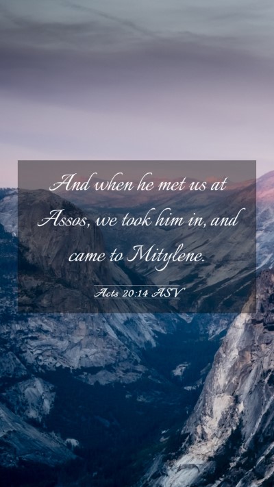 Picture 03 - Acts 20:14 ASV Mobile Phone Wallpaper - And when he met us at Assos, we took him in, and - Mobile Bible Verse Wallpaper