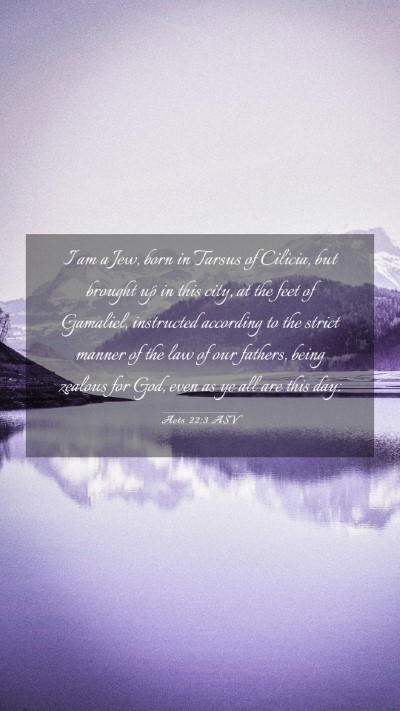 Picture 03 - Acts 22:3 ASV Mobile Phone Wallpaper - I am a Jew, born in Tarsus of Cilicia, but - Mobile Bible Verse Wallpaper
