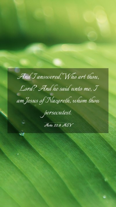 Picture 03 - Acts 22:8 ASV Mobile Phone Wallpaper - And I answered, Who art thou, Lord? And he said - Mobile Bible Verse Wallpaper