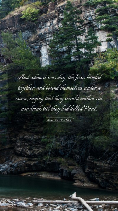 Picture 03 - Acts 23:12 ASV Mobile Phone Wallpaper - And when it was day, the Jews banded together, - Mobile Bible Verse Wallpaper
