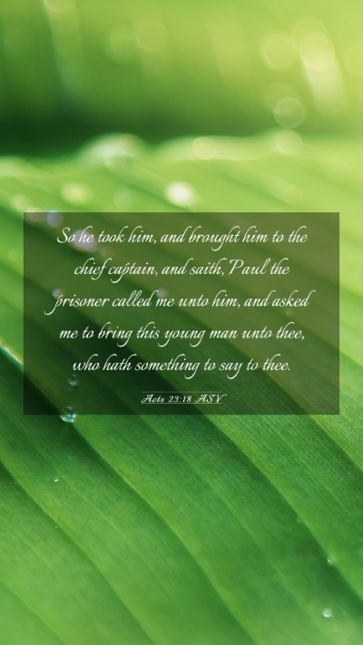 Picture 03 - Acts 23:18 ASV Mobile Phone Wallpaper - So he took him, and brought him to the chief - Mobile Bible Verse Wallpaper