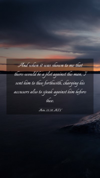 Picture 03 - Acts 23:30 ASV Mobile Phone Wallpaper - And when it was shown to me that there would be a - Mobile Bible Verse Wallpaper