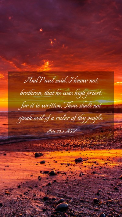 Picture 03 - Acts 23:5 ASV Mobile Phone Wallpaper - And Paul said, I knew not, brethren, that he was - Mobile Bible Verse Wallpaper