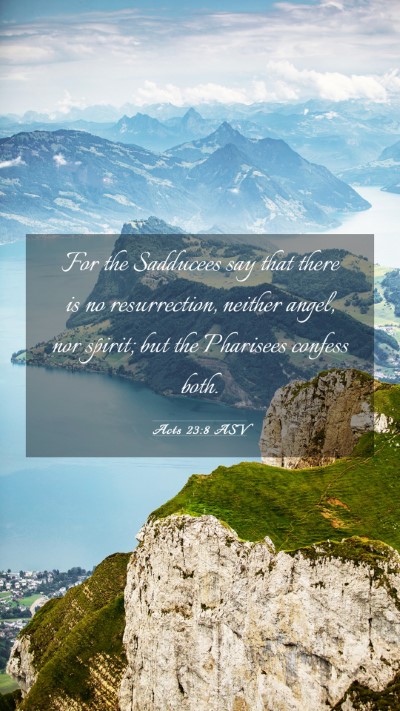 Picture 03 - Acts 23:8 ASV Mobile Phone Wallpaper - For the Sadducees say that there is no - Mobile Bible Verse Wallpaper