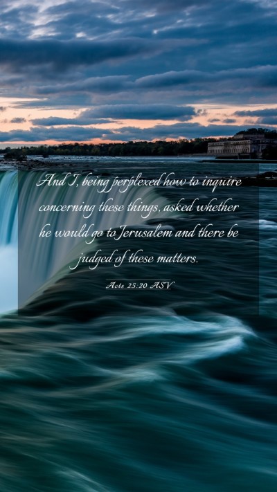 Picture 03 - Acts 25:20 ASV Mobile Phone Wallpaper - And I, being perplexed how to inquire concerning - Mobile Bible Verse Wallpaper