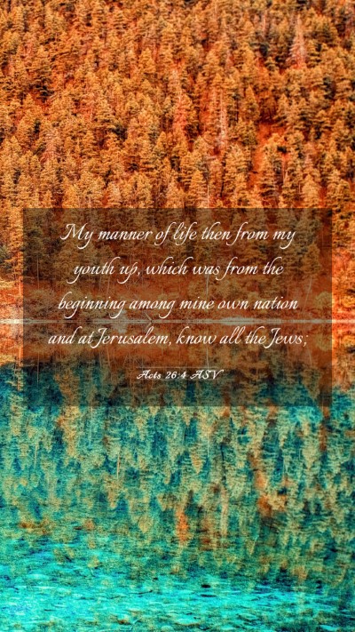 Picture 03 - Acts 26:4 ASV Mobile Phone Wallpaper - My manner of life then from my youth up, which - Mobile Bible Verse Wallpaper