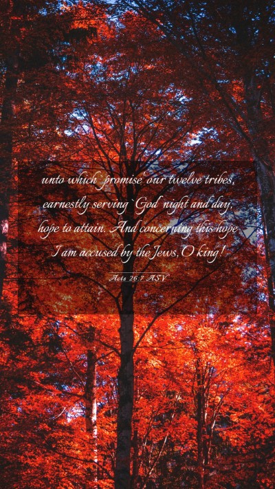 Picture 03 - Acts 26:7 ASV Mobile Phone Wallpaper - unto which `promise' our twelve tribes, earnestly - Mobile Bible Verse Wallpaper