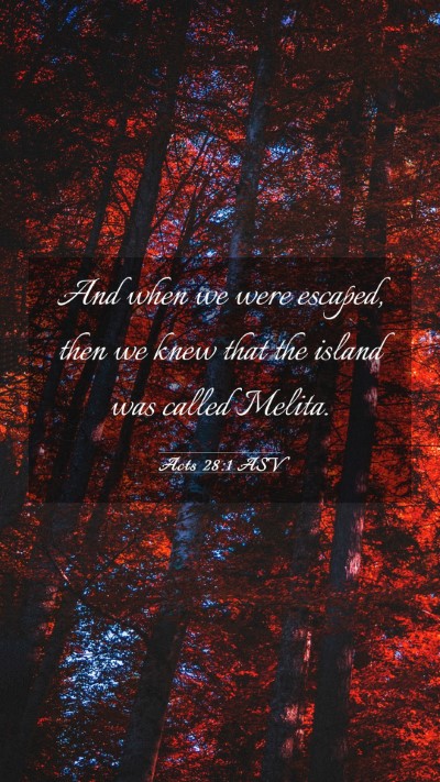 Picture 03 - Acts 28:1 ASV Mobile Phone Wallpaper - And when we were escaped, then we knew that the - Mobile Bible Verse Wallpaper