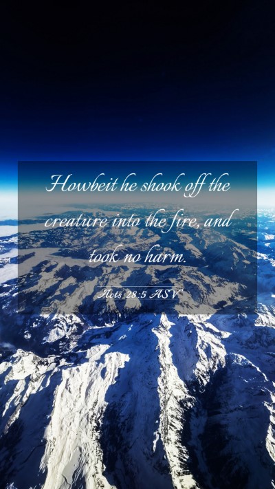 Picture 03 - Acts 28:5 ASV Mobile Phone Wallpaper - Howbeit he shook off the creature into the fire, - Mobile Bible Verse Wallpaper