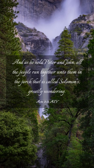 Picture 03 - Acts 3:11 ASV Mobile Phone Wallpaper - And as he held Peter and John, all the people ran - Mobile Bible Verse Wallpaper