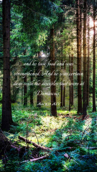 Picture 03 - Acts 9:19 ASV Mobile Phone Wallpaper - and he took food and was strengthened. And he was - Mobile Bible Verse Wallpaper