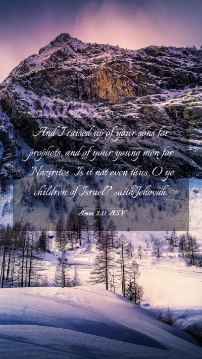 Picture 03 - Amos 2:11 ASV Mobile Phone Wallpaper - And I raised up of your sons for prophets, and of - Mobile Bible Verse Wallpaper