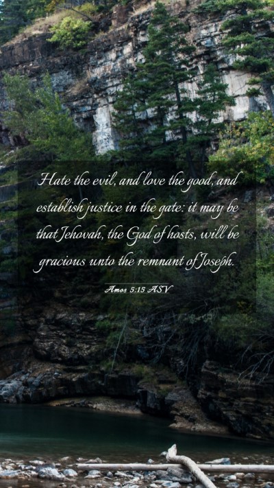 Picture 03 - Amos 5:15 ASV Mobile Phone Wallpaper - Hate the evil, and love the good, and establish - Mobile Bible Verse Wallpaper