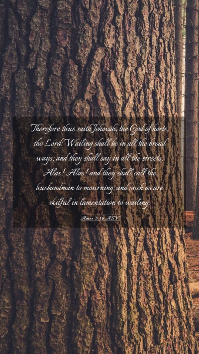 Picture 03 - Amos 5:16 ASV Mobile Phone Wallpaper - Therefore thus saith Jehovah, the God of hosts, - Mobile Bible Verse Wallpaper